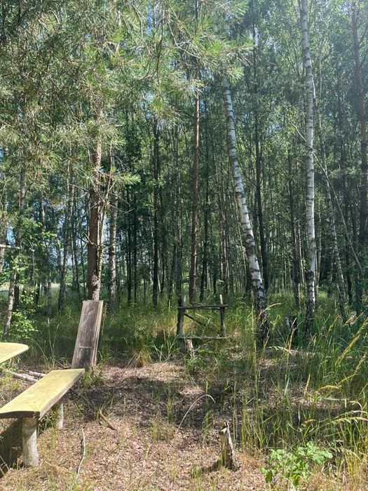 Działka na sprzedaż - Chłopowo - Widok 4