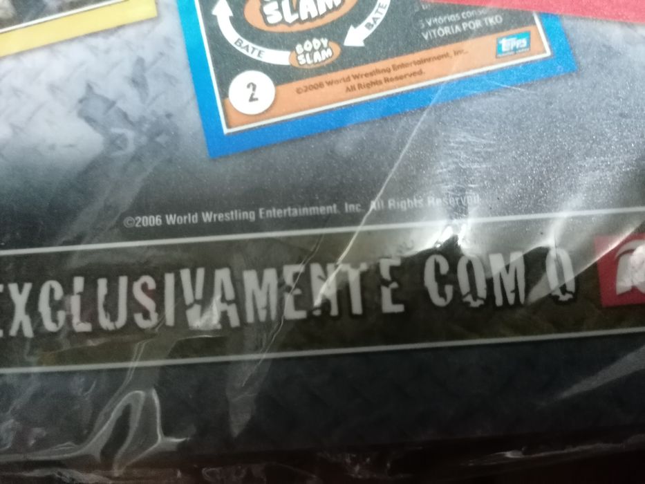 Caderneta WWE payback 2006