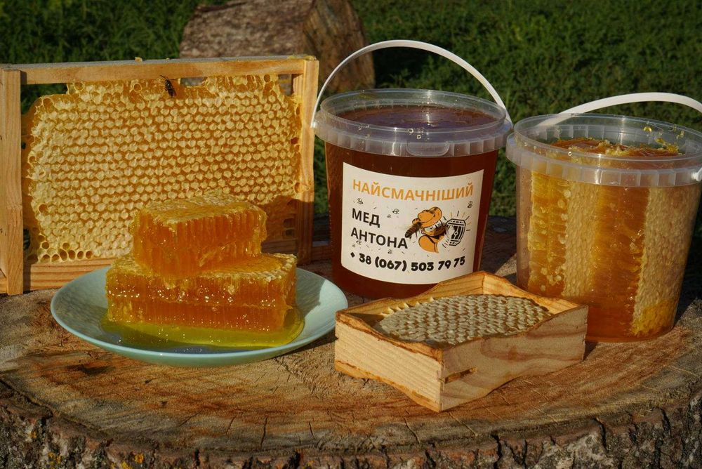 Мед у сотах. Стільниковий мед. доставка!