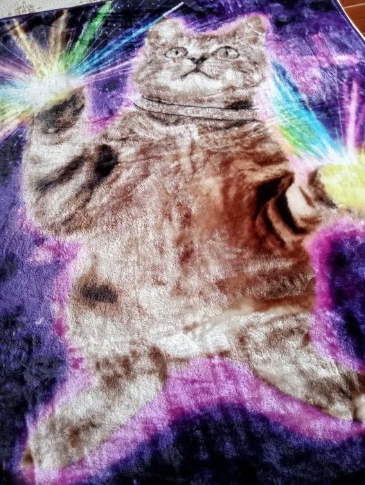 Manta Gato Galáxia