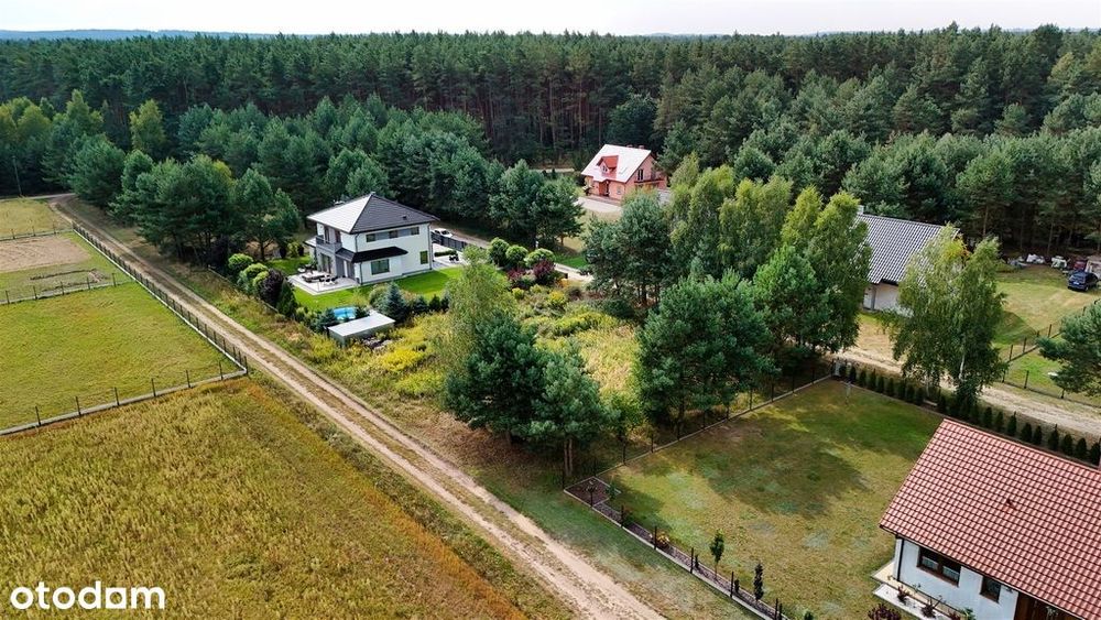 Pęciszów koło Trzebnicy/otoczenie lasów