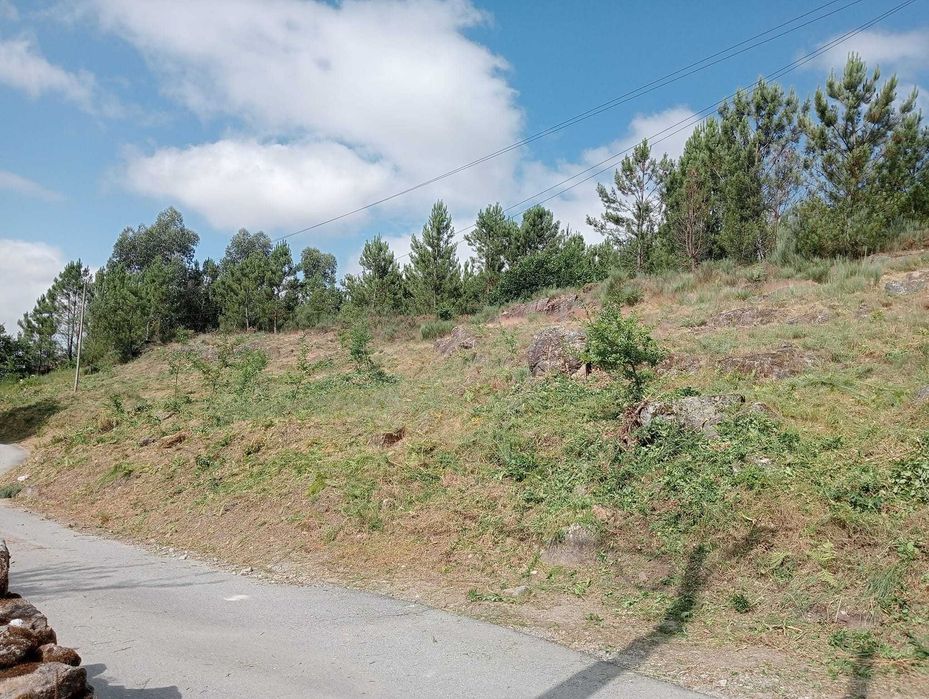 Limpeza de Terrenos – Evite Multas