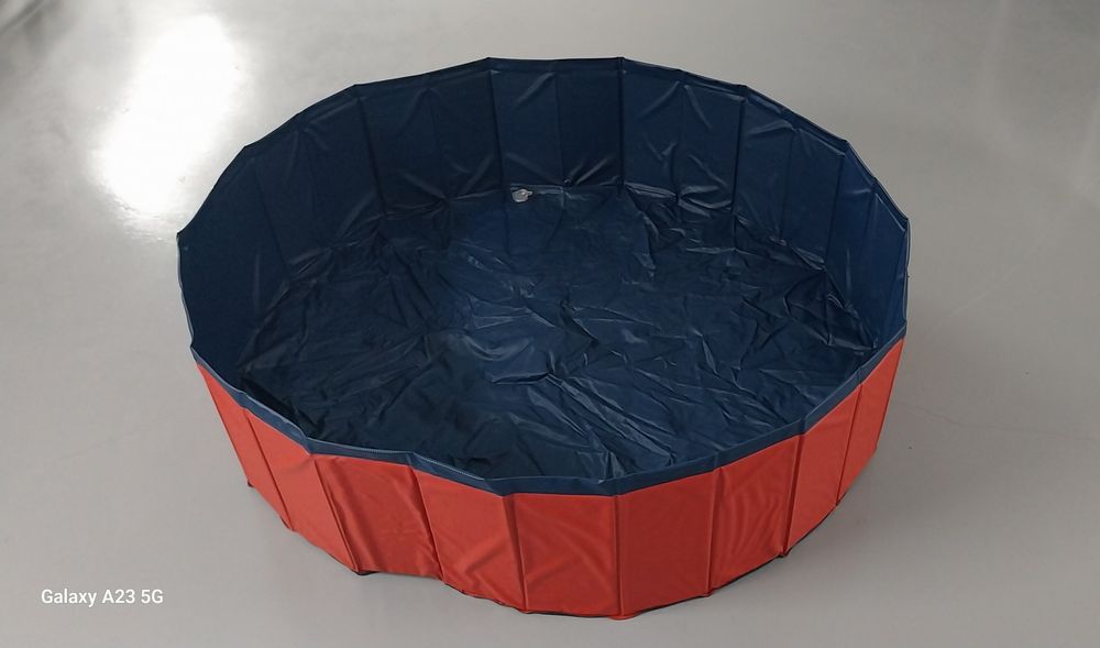 Piscina para cães