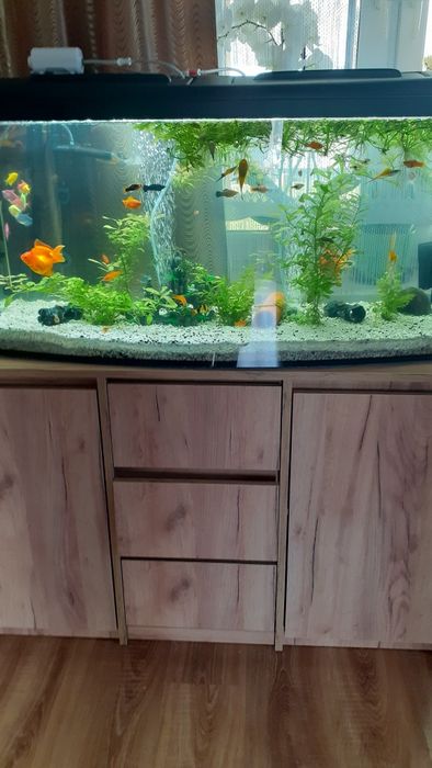 Sprzedam akwarium 200l