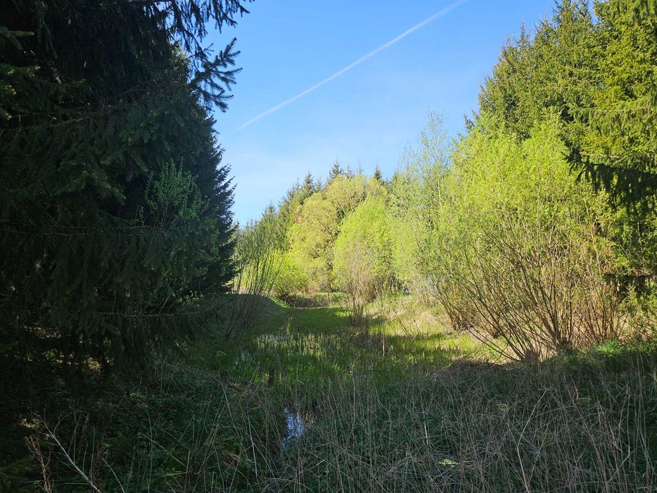 Działka Gąski, Warmińsko-Mazurskie