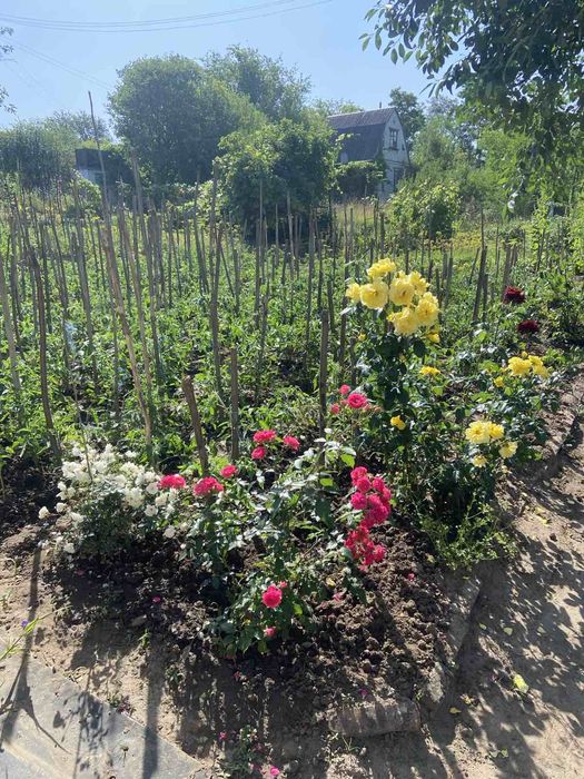 Продам дачу в Подворках