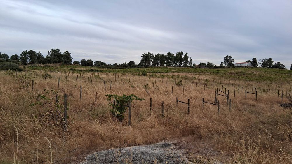 Terreno em São Miguel De Acha