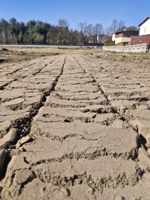 Mulczer wgłębny ,leśny, karczowanie  samosiejek, czyszczenie działek,