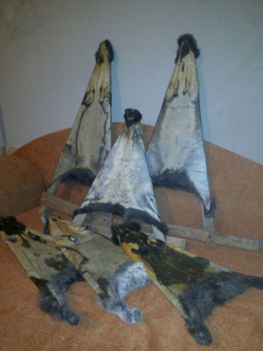 Продам шкурки кролів