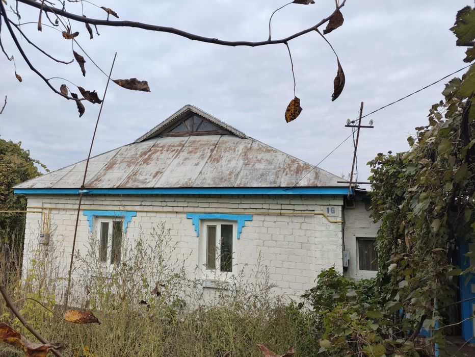 Будинок, господарські приміщення, земельна ділянка