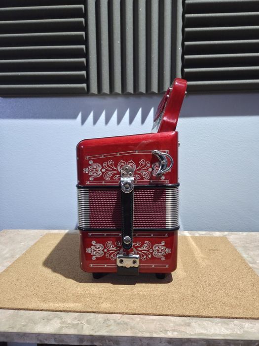 Concertina Pedrosini