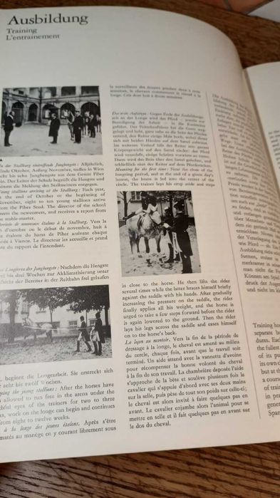 Das Schonste aus der Spanischen Hofreitschule.
