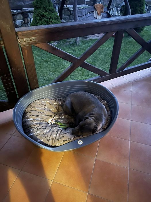 Пластиковий лежак для собак Siesta Deluxe Fеrplast, Сіеста Делюкс 2,4,
