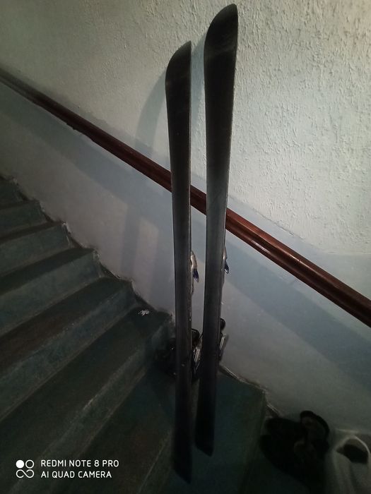 Гірські лижі Head