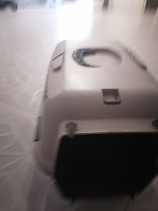 Transportadora animal