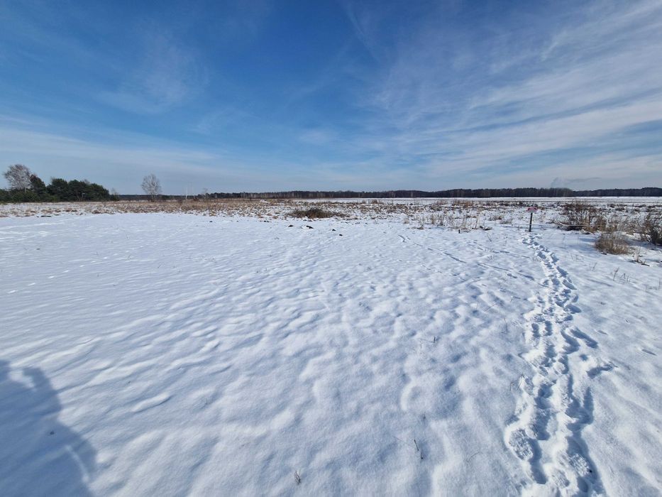 Działka rekreacyjna Grabów Zaleśny 697 m² - Widok 2