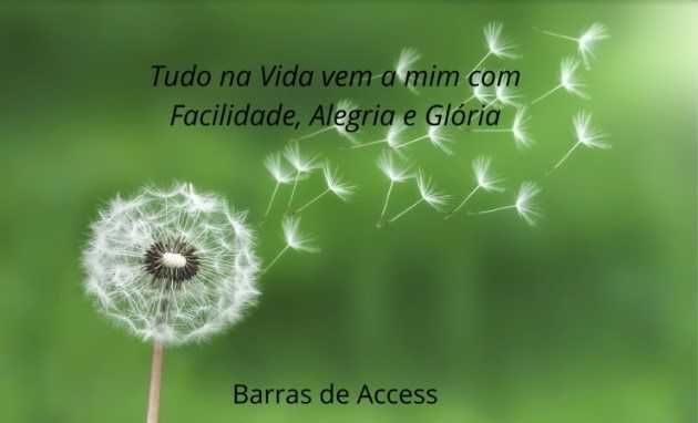 Barras de Access - Pratitioner