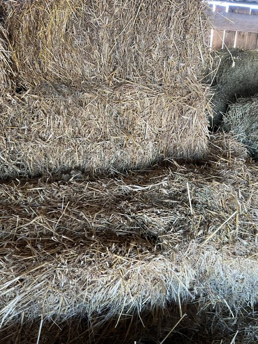 Сіно / є доставка