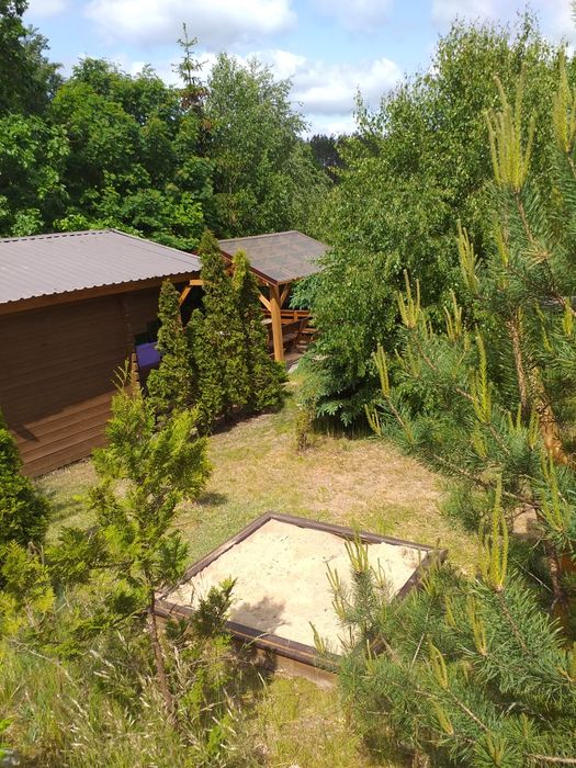Drewniany domek letniskowy nad jeziorem Wdzydze