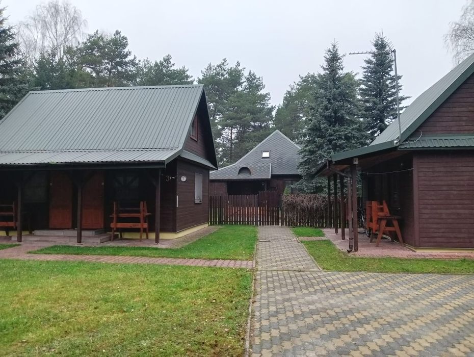 Domki przy plaży - wynajem