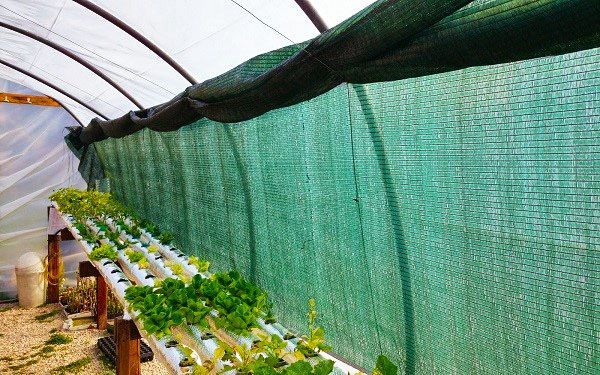 Rede Sombra Verde - NOVO