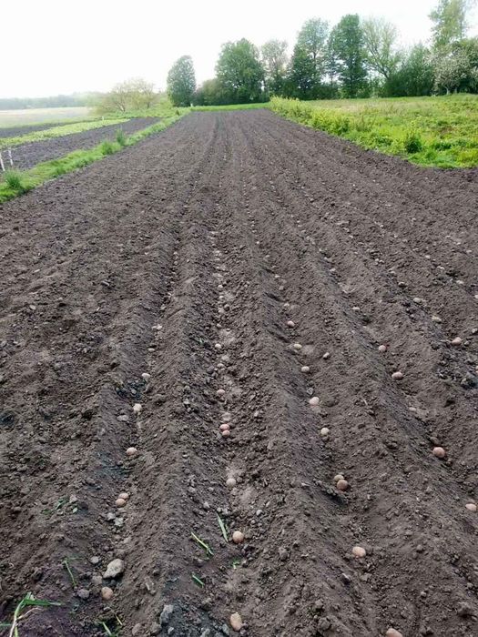 Будинок в мальовничому місці  €$