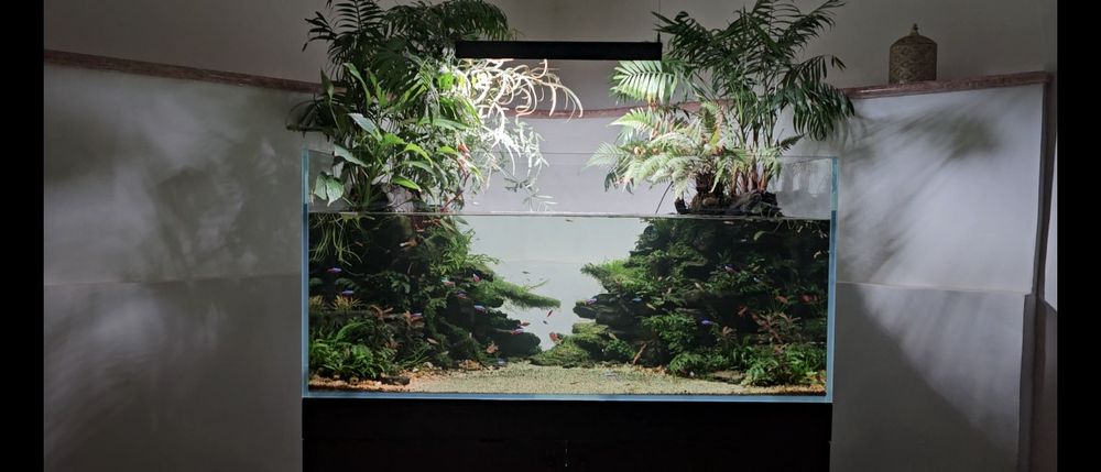 Aquário 590litros 140x65x65  vidro extra claro  com móvel acessórios e  rochas