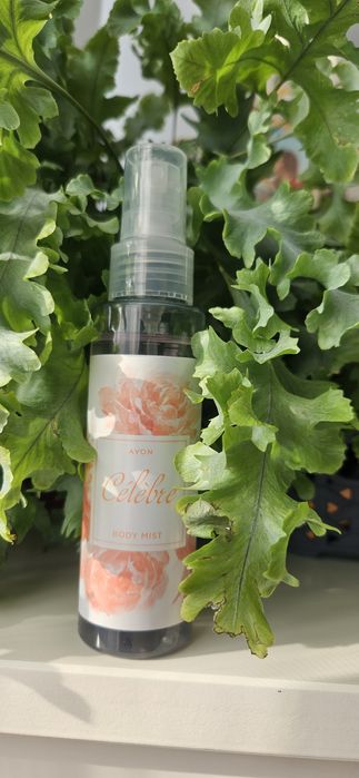 Пропоную Вашій увазі!