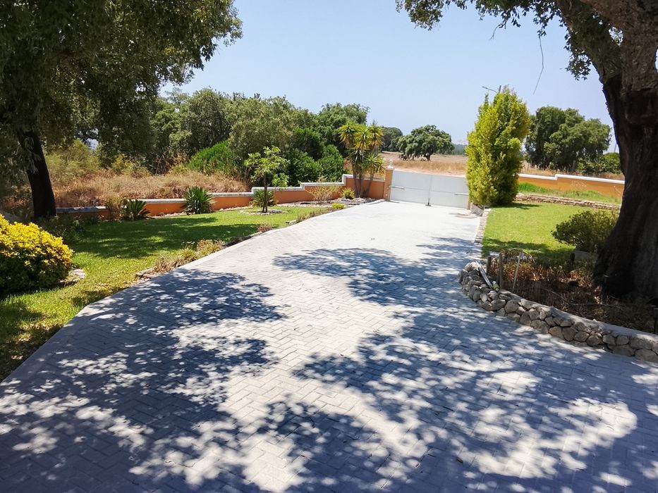 Calceteiro profissional/ por todo país