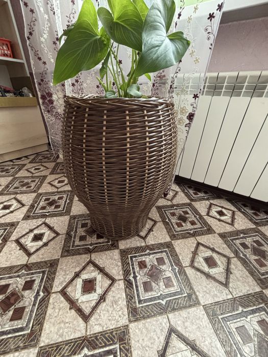 Кашпо для квітів ( с ротанга)