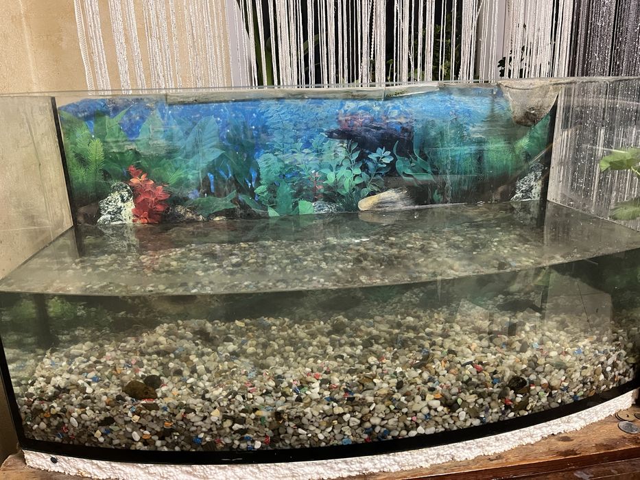 Продам акваріума (100л.)