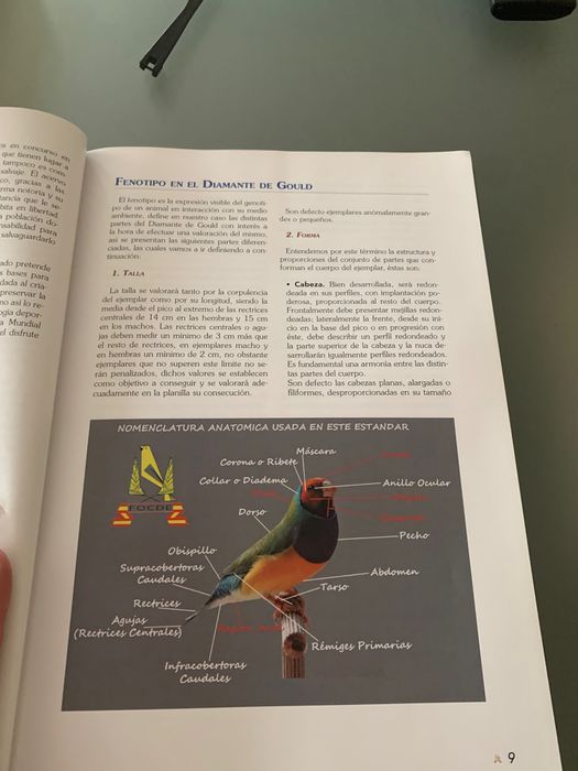 Livro Diamante Gould