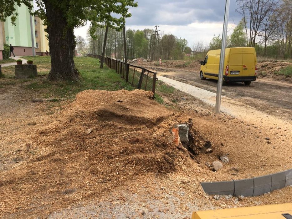 Usługa Frezarką Frezowanie Karp Usuwanie Pni Korzeni frezarka drzew