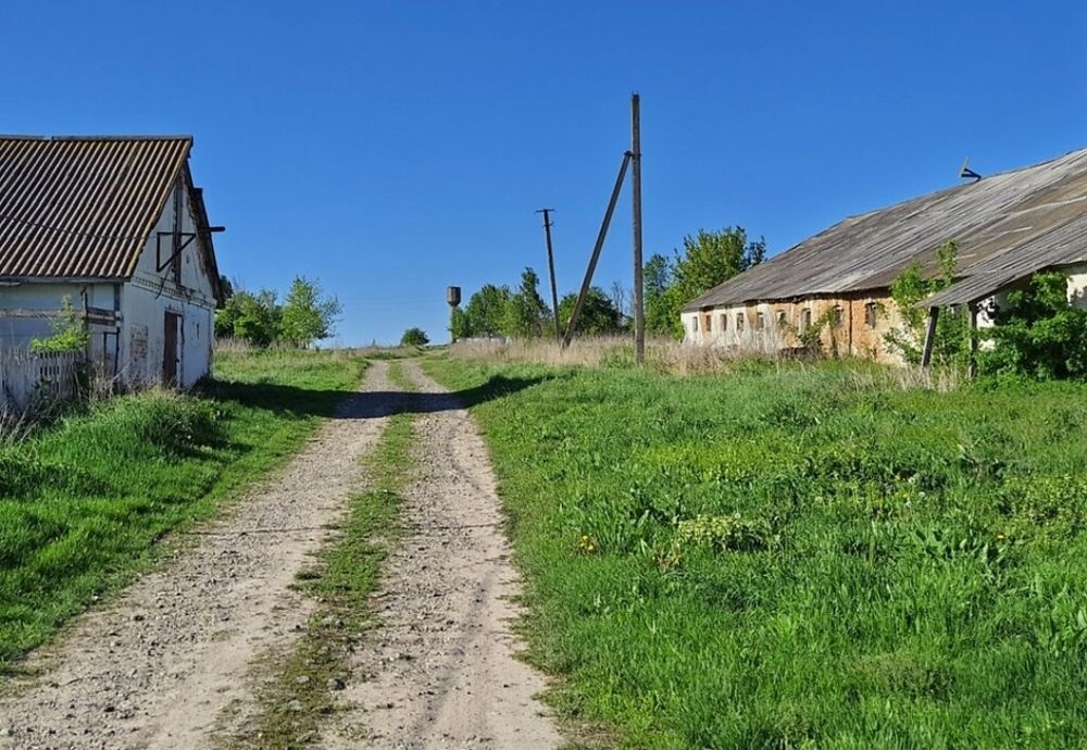 Продам свинарники