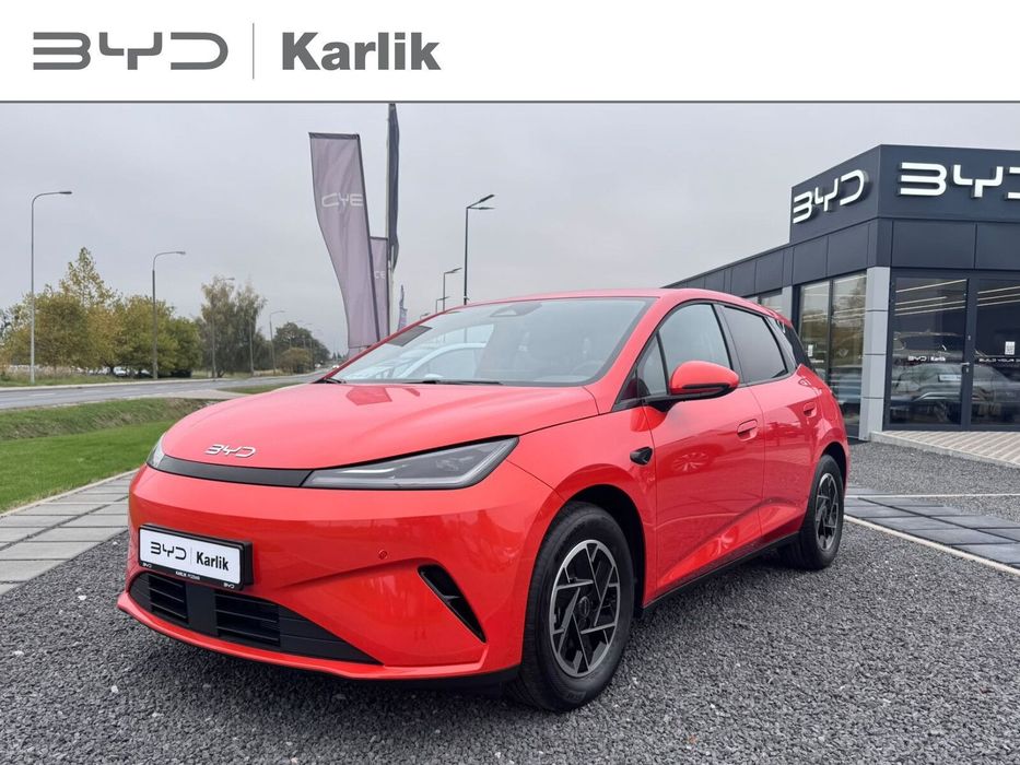 BYD Pozostałe BYD