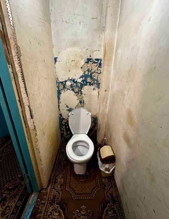 Продам будинок/Гребінки/Центр/Є-відновлення/Хороший  торг