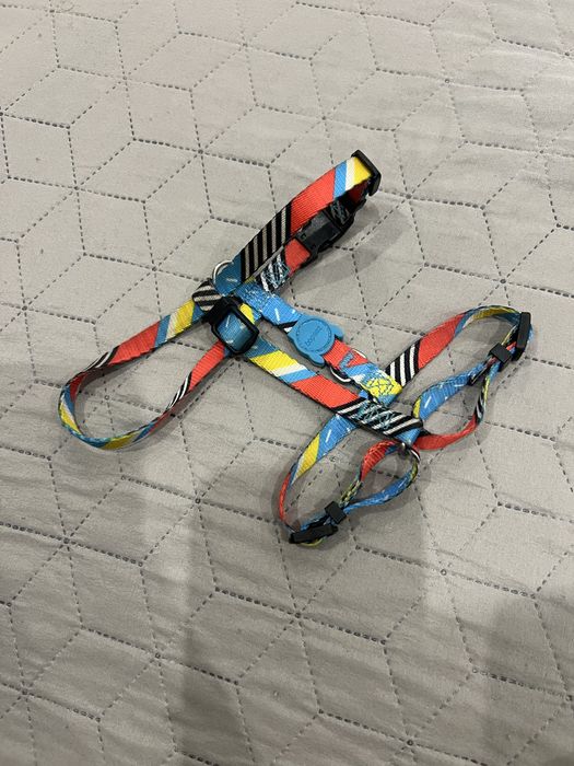 Шлея Zeedog розмір XS ami play pesic co pets fashion