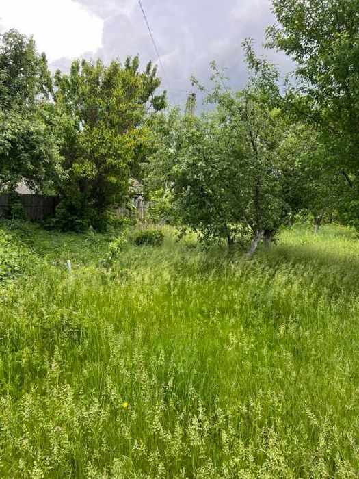 Пропоную до продажу будинок в с. Березняки.ЦІНУ ЗНИЖЕНО