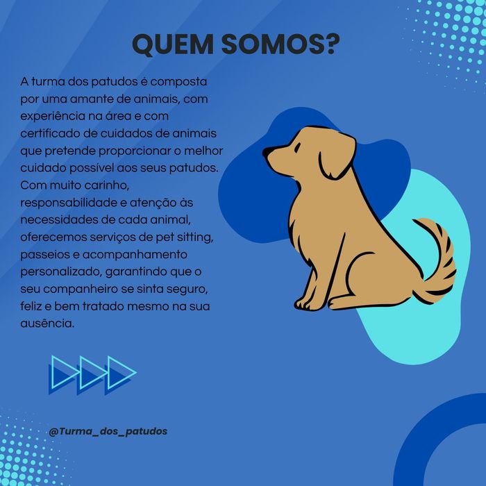 Pet sitting/walking505966894138019840
