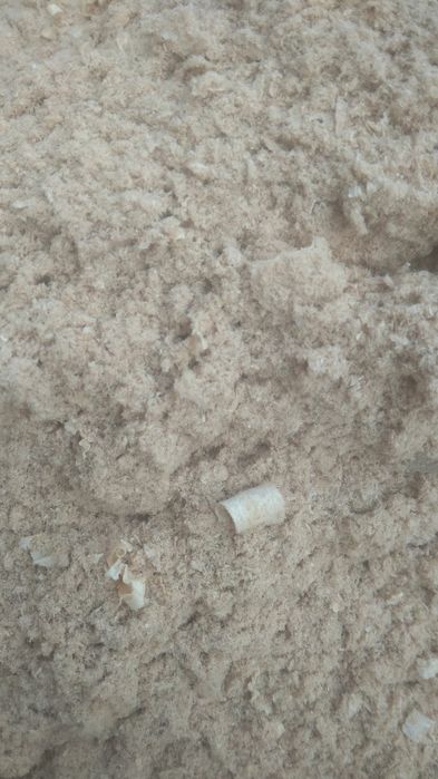 Осуществляем постоянную круглогодичную вывоз опилки, стружку, тырсы