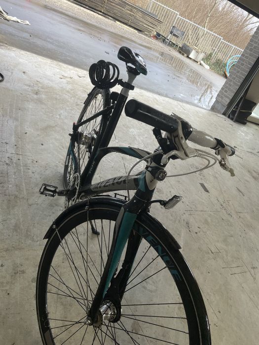 Rower miejski avenue