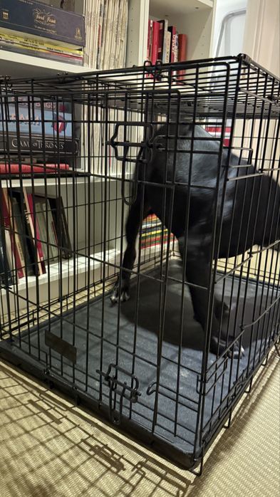 Crate/Jaula  para cães  (NUNCA USADO)