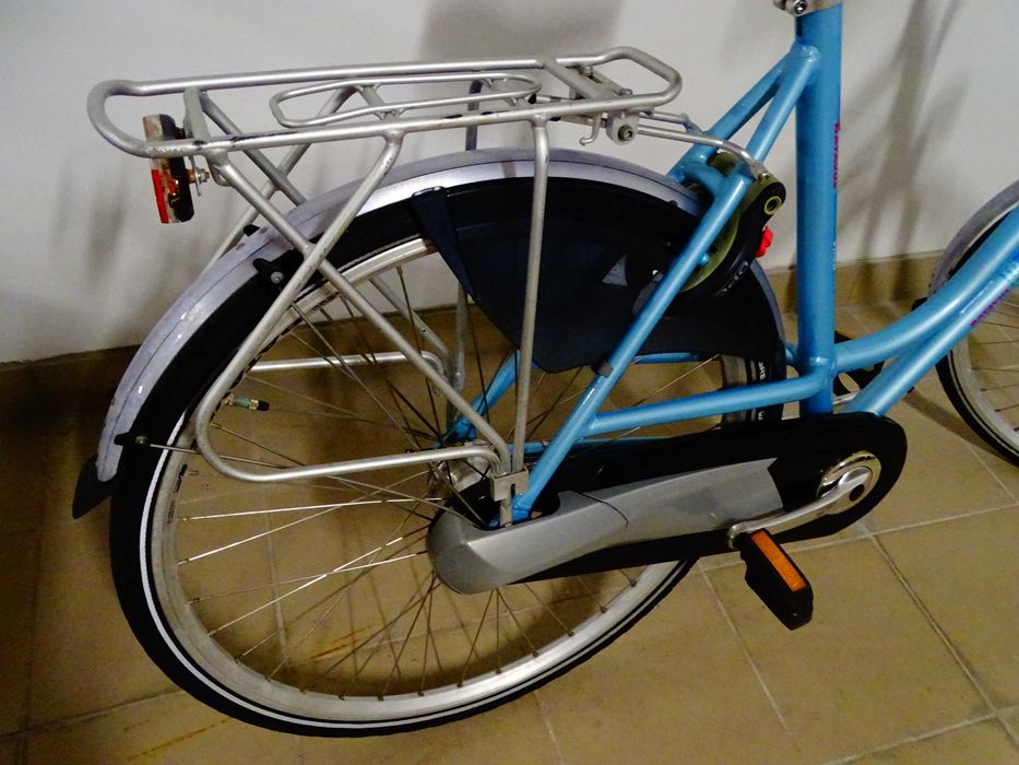 Rower Batavus Flash