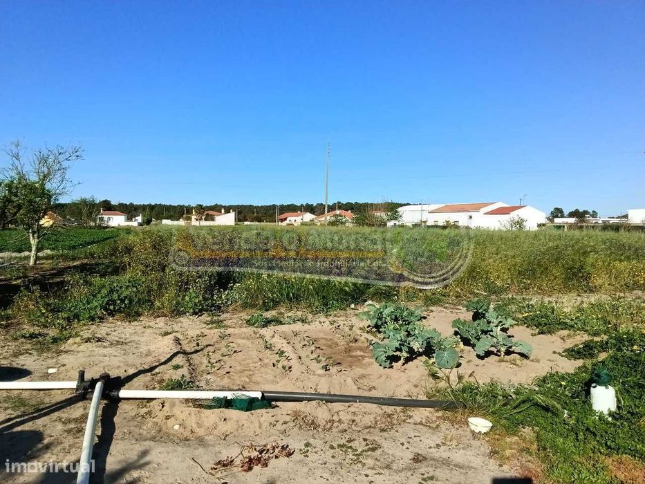 Terreno em Foros de Salvaterra (F729) — Salvaterra De Magos E Foros De Salvaterra, Santarém