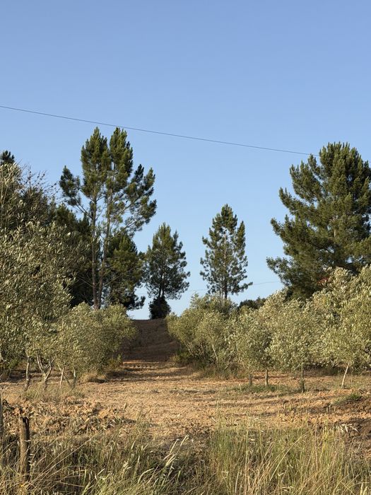 Quinta com Moradia T3 e Terreno de 8.920 m² em Fazendas de Almeirim