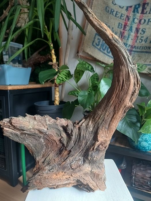 Korzeń do akwarium lub terrarium