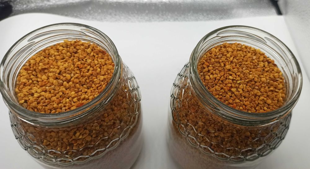 Pólen de abelha 2026