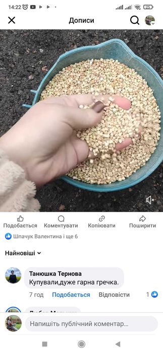 Вирощена без добавок домашня гречка 2024