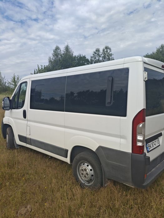 ‼️Пасажир‼️Пежо Боксер