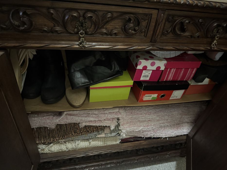 Sapateira Renascença